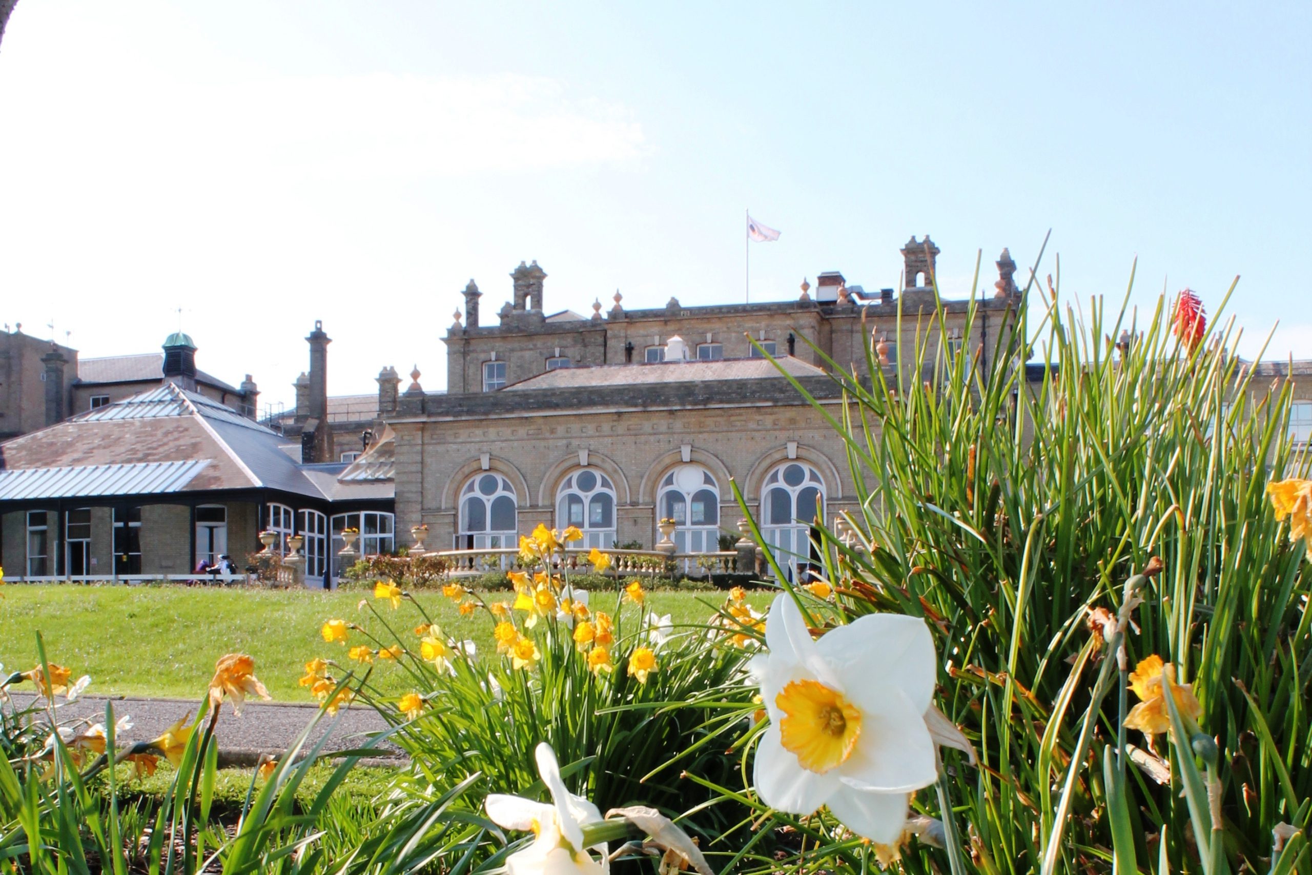 Photo of the Royal Hospital for Neuro-disability surrounded by daffodils