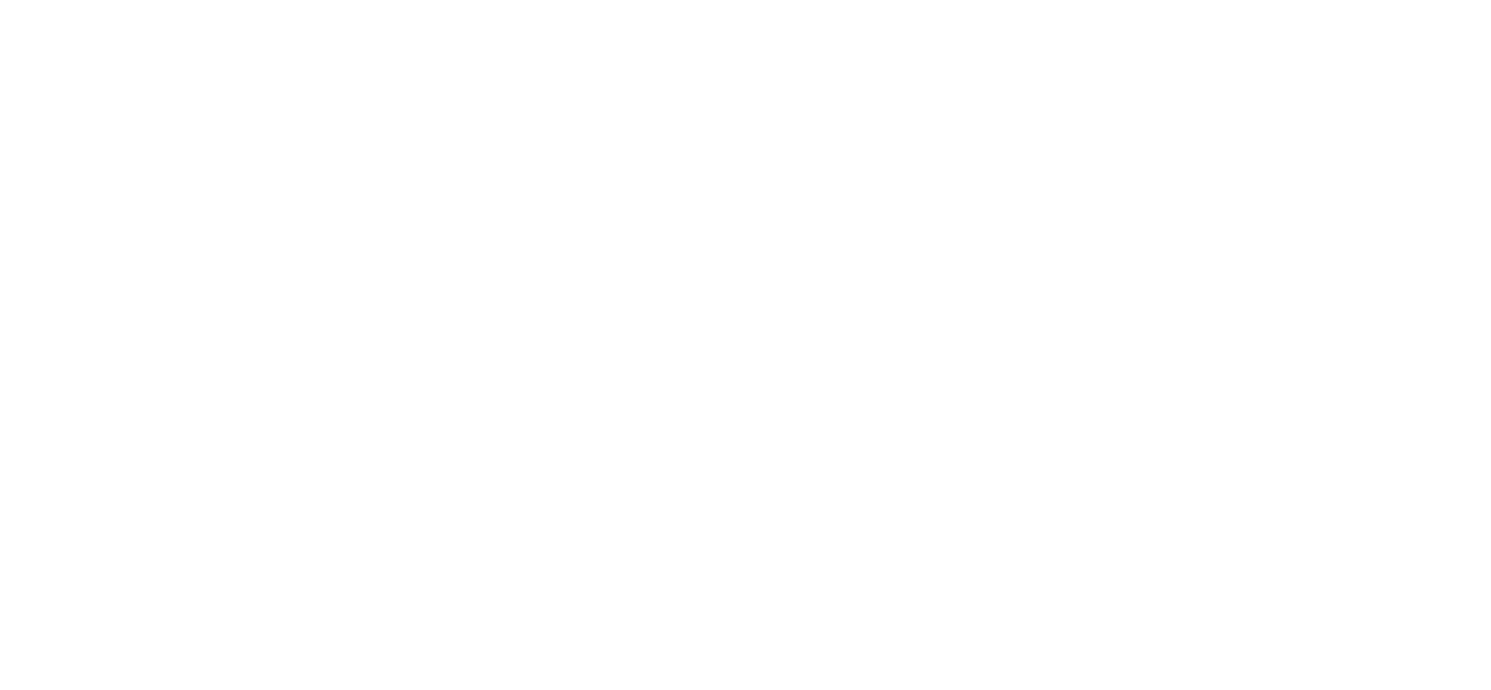 policy-in-practice-white